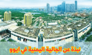 استكشف ثقافة الطعام اليمني في الصين 4